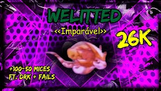 Transformice Welitted 26K - Ft. Drk + 100-50 mices / LEGENDS NEVER DIE