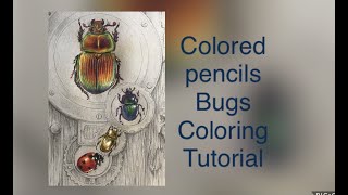 Colored pencils coloring Bugs