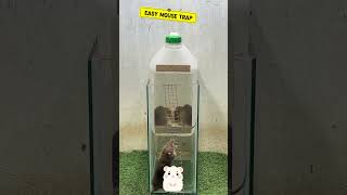 Best Mouse Trap Idemart Mouse Traps