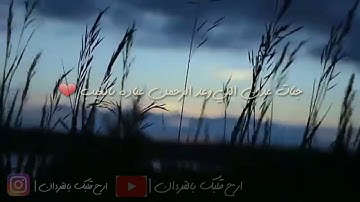 حالات واتس اب دينية | اجمل تلاوة هادئة و مريحة للاعصاب بصوت مؤيد المزين