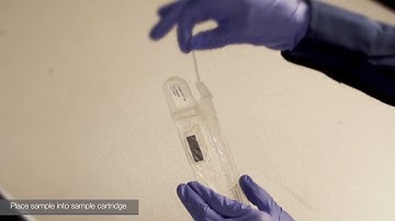 Applied Biosystem RapidHIT ID System demo