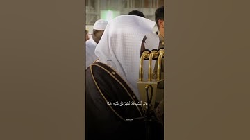 تلاوة مميزة جدا بصوت الشيخ ماهر المعيقلي 🌹