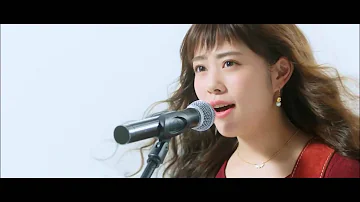 ウメッシュ Cm ウメッシュ Cm