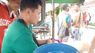 Lage nalang pinag tritripan ni Bardag si Borlong🤣 usapang kalukuhan mg ka-ibon🕊️