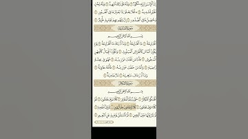 سورة التكاثر بصوت الشيخ سعد الغامدي ♥️♥️ #العراق #قرآن #سعد_الغامدي @SheikhSaadAlGhamdi