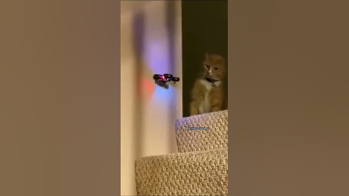 Восстание машин отменяется 😅
