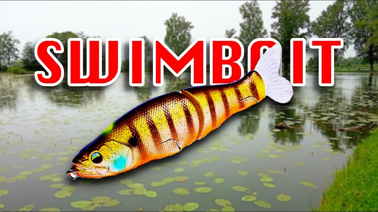 Bass Fishing : Pesca con la Swimbait per la Prima Volta | Swimbait Fishing