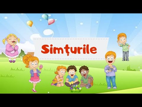 Simțurile 👀👅👃👂🤚|prezentarea celor 5 simțuri