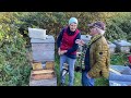 Live von Pias Bienenstand - 12.11.2023
