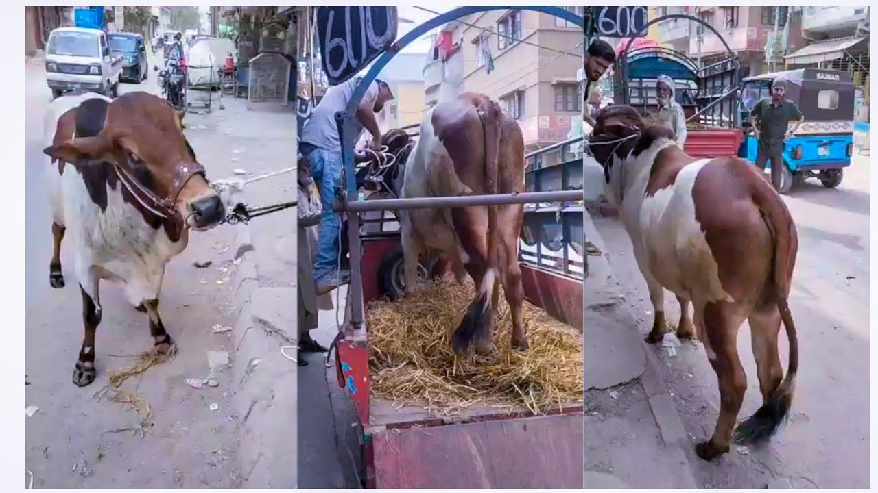 Live Unloading Live unloading 2025 - YouTube
