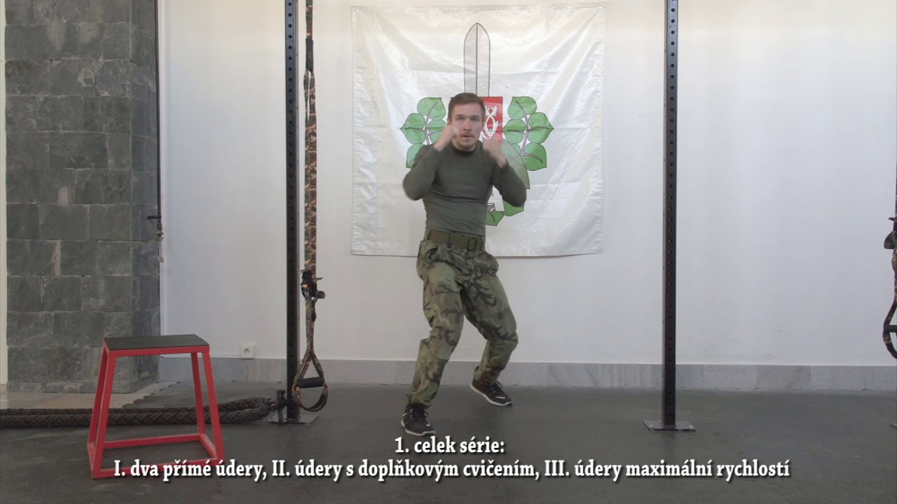 Cvičení s vyškovským velitelstvím výcviku - 1. lekce