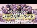[多肉植物]パープルディライト丸狩り^_^葉挿しを仕込んで葉挿しモギモギ　子吹き待ち
