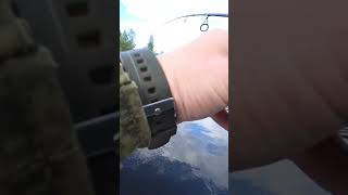 приятная неожиданность#жерех