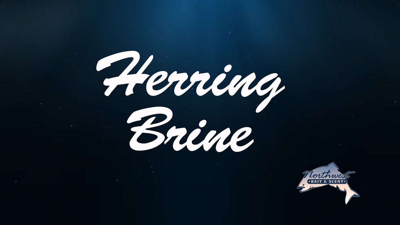 Northwest Bait & Scent Herring Brine YouTube