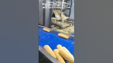 Automatic Steam Cooking Frozen Sweet Corn Cob Production Line