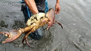 Great skill catching giant crabs in the water with bare hands