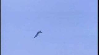 X-31A in flight performing a Double Reversal Maneuver
