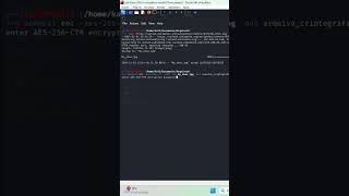 Encrypting and Decrypting a File with AES-256 in Kali Linux