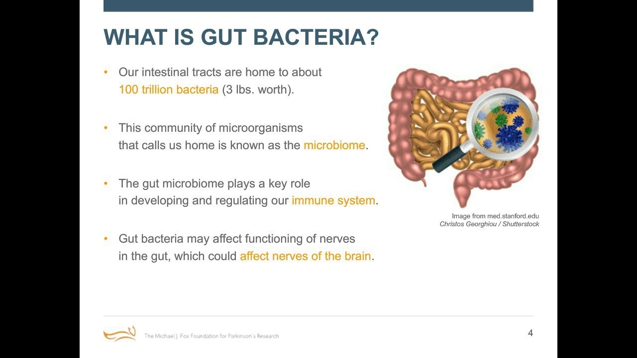 Webinar: "Gut Bacteria and Parkinson's" January 2017