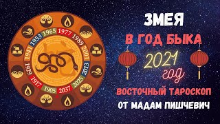 ЗМЕЯ в год БЫКА 2021. Восточный тароскоп