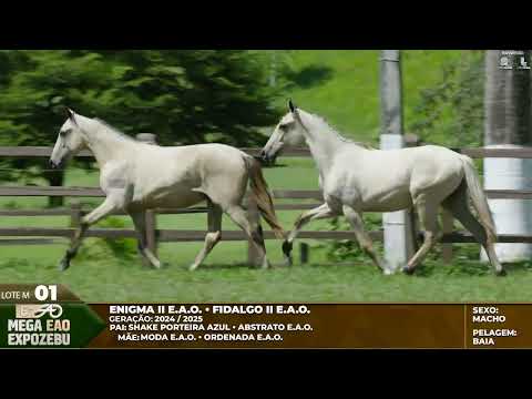 LOTE M01
