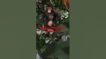 Radeon 9800 Chimp Demo in 4K