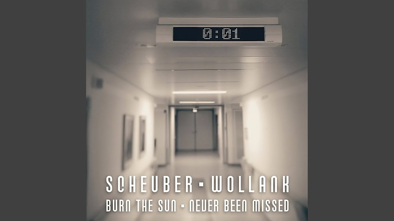 Burn The Sun (Modular Remix)