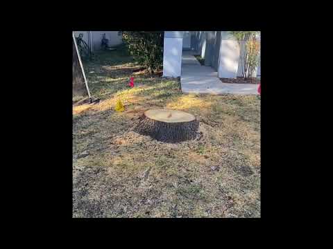 811 locate is highly recommended before stump grinding