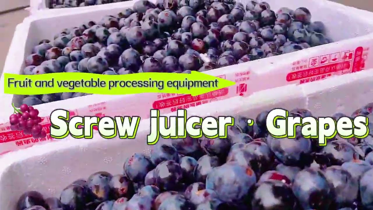 grape juice | spiral juicing machine | fruit and vegetableprocessing equipment