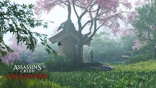 The Beauty of Assassin's Creed Shadows Graphics