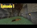 Minecraft With Tiko | Episode #1