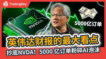 Nvidia NVDA 英伟达财报大爆发！AI泡沫要破灭了吗？MSFT AMD META GOOG AMZN