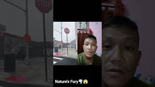 Nature's Fury 🌪️😱#wind#weather#nature#storm#strongwind#naturesounds #coldwind #col #epicweather