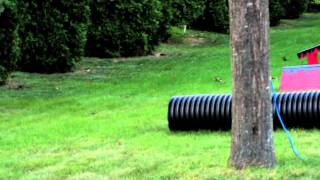 Backyard Terrran Park Teaser (2012)