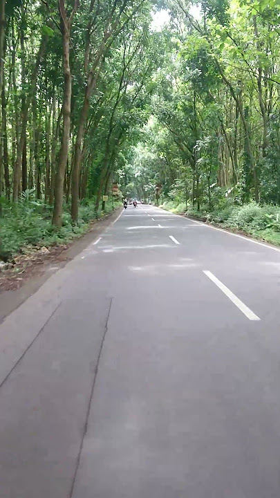 jatian jalan menuju senduro lumajang #lumajang #senduro #videomentahan #lumajangvibes