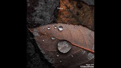 Olichirikan vallikudil💕💕💕 watsapp status