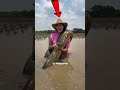 Animal Encounters That Nobody Was Ready For