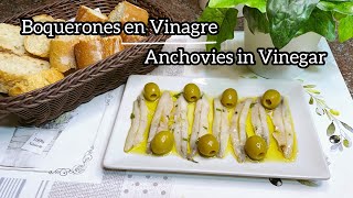 Boquerones En Vinagre Anchovies With Vinegar