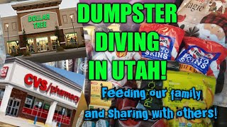 ❄❄DUMPSTER DIVING MAJOR RETAIL ROUTE! CVS//DOLLAR TREE// Frugal Family Dumpster Divers UTAH❄❄