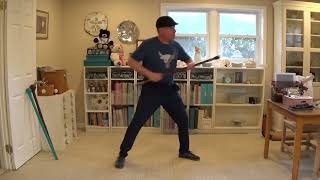Bartitsu Cane Lesson #5:  the In & Out Drill