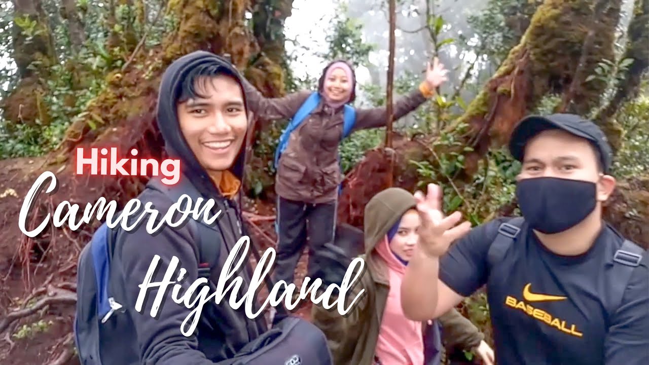 Semata Photoshoot Mossy Forest | Reboot Band Hiking at Cameron Highland 