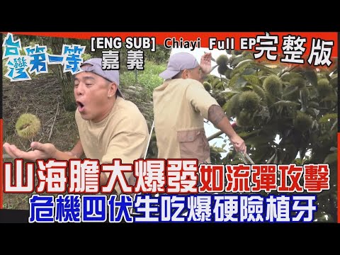 [全新] 嘉義【"山海膽"大爆發！如流彈攻擊 生吃爆硬險植牙/百年市場「炭燒杏仁茶+蛋黃尬油條」經典必吃老綠豆早餐/可以喝的"陳年化妝水"越陳越純】│2023.10.22│《台灣第一等》完整版