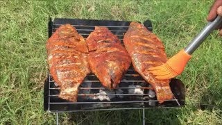 Ultimate Fish Barbecue Catch N Cook Cooking Sweet and Spicy Fish Barbecue from Scratch