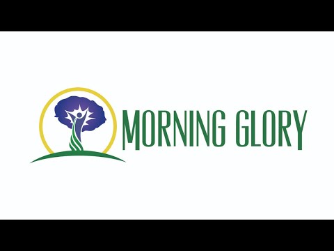 Wideo: Problemy Morning Glory - Częste choroby winorośli Morning Glory