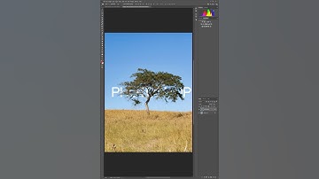 Text Behind Trees in Photoshop - Simple Secret