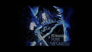 FUNK MI CAMINO - EXTENDED TO PERFECTION REVERB VERSION