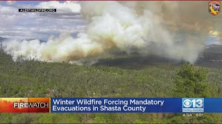 Winter Wildfire Forces Evacuations In Shasta County