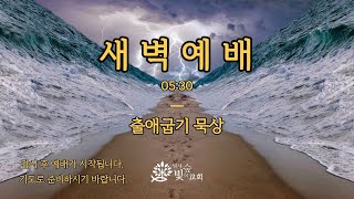 [새벽 예배]_20210812(목) / 출 8 / 흔들리지 않는 믿음 / (본문 말씀 : 더 보기 참조)