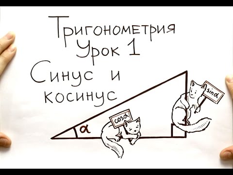 Синус и косинус