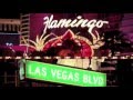 Available June 19th - Welcome to Fin City - Live in Las Vegas 2011!